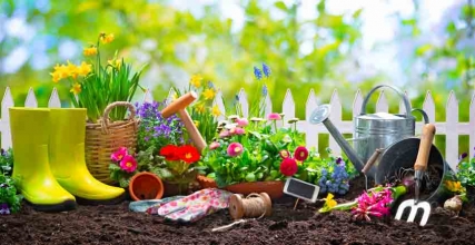4 attrezzi o strumenti da avere per curare al meglio il proprio giardino