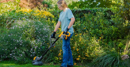 Come curare il giardino in estate: taglio e annaffiatura
