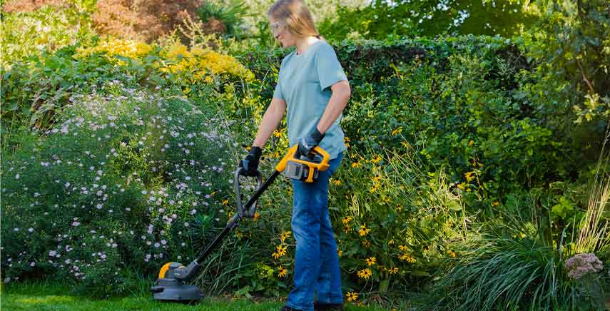 Come curare il giardino in estate: taglio e annaffiatura